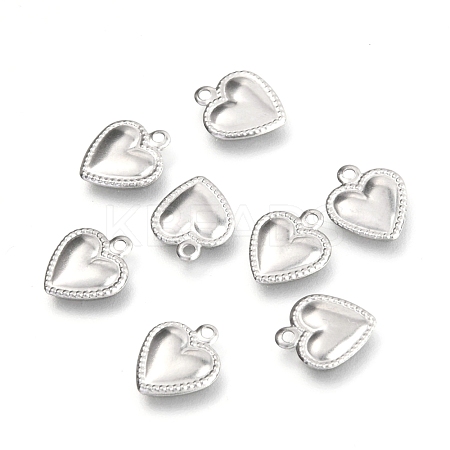 304 Stainless Steel Charms STAS-I179-03P-1