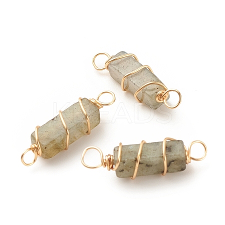 Natural Labradorite Connector Charms PALLOY-JF01580-01-1