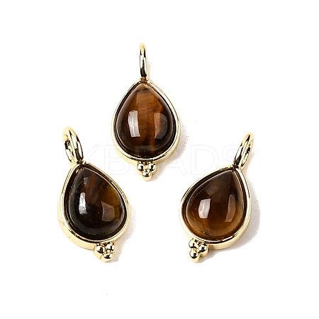 Natural Tiger Eye Pendants KK-P325-08G-01-1