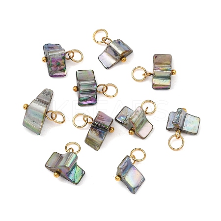 AB Color Natural Freshwater Shell Pendants PALLOY-JF05877-1