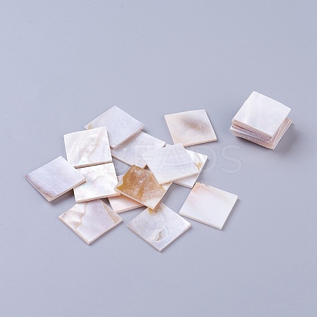 Shell Cabochons SSHEL-WH0001-12-1