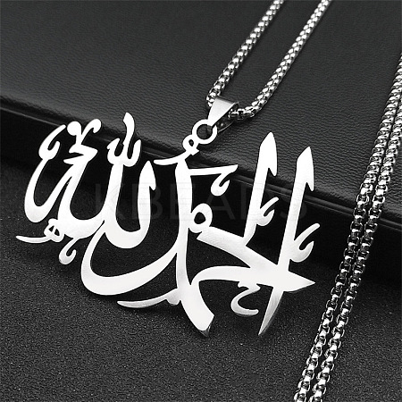 201 Stainless Steel Pendant Necklaces LS-NJEW-C066-14P-1