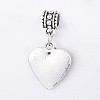 Alloy European Dangle Charms PALLOY-P123-06AS-A-2