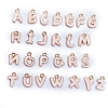 Alloy Enamel Charms FIND-SX0001-016-1