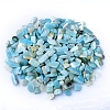 Natural Flower Amazonite  Tumbled Chips PW-WGA7DCE-17-1