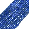 Natural Blue Agate(Dyed & Heated) Beads Strands G-A260-A12-01-2