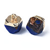 Assembled Synthetic Bronzite and Lapis Lazuli Charms G-N330-47A-2