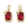 Brass Micro Pave Cubic Zirconia Charms KK-C051-10G-06-1
