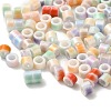 Baking Paint Glass Beads GLAA-D020-02-3