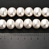 Shell Pearl Beads Strands BSHE-F013-01A-5