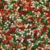 4 Colors 11/0 Christmas MIYUKI Delica Seed Beads SEED-X0058-22-2