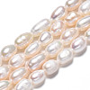 Natural Cultured Freshwater Pearl Beads Strands PEAR-N012-05D-3