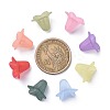 Transparent Acrylic Beads PLF018-3