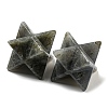 Natural Labradorite Beads G-A206-01B-58-2