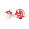 Plastic Pendants KY-N015-118C-01-3