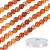 DIY Natural Regalite/Imperial Jasper/Sea Sediment Jasper Beads Bracelets  Making KIts DIY-TA0002-69B-3