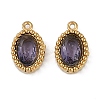 Ion Plating(IP) 304 Stainless Steel Micro Pave Cubic Zirconia Charms STAS-K256-19G-01-1