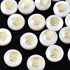 Freshwater Shell Beads SHEL-T018-20-1