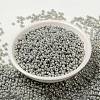 MIYUKI Round Rocailles Beads SEED-G008-RR1866-2