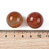 Natural Banded Agate(Dyed & Heated) Sphere Beads GG-D003-A04-03-3