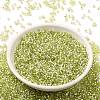 Glass Seed Beads SEED-S042-04B-24-2