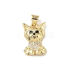 Brass Micro Pave Cubic Zirconia Pendants KK-D426-06G-1