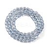 Electroplate Glass Beads Strands EGLA-D031-01-03-3