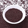 MIYUKI Delica Beads SEED-J020-DB1134-2