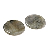 Natural Labradorite Pendants G-B071-01B-2