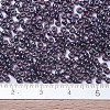 MIYUKI Round Rocailles Beads X-SEED-G007-RR0171-4