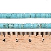 Natural Turquoise Beads Strands G-M422-C01-01-4