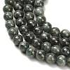 Natural Green Kyanite Beads Strands G-H335-B02-6mm-AB-4