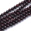 Natural Bloodstone Beads Strands G-R412-06-10MM-1