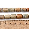 Natural Aqua Terra Jasper Beads Strands G-L624-C03-12x8mm-4