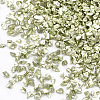 FGB Plated Glass Seed Beads SEED-S020-03C-08-2