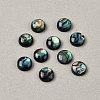 Natural Abalone Shell/Paua Shell Cabochons with Enamel BSHE-WH0006-06B-1