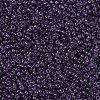 MIYUKI Round Rocailles Beads SEED-G007-RR0157-3