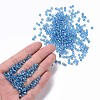 6/0 Round Glass Seed Beads SEED-US0003-4mm-163-4