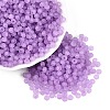 FGB Frosted Transparent Glass Seed Beads SEED-N013-04A-07-1