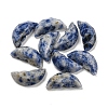 Natural Blue Spot Jasper Butterfly Wing Cabochons G-D078-02C-1