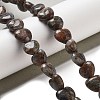 Natural Glaucophane Beads Strands G-R190-10mm-36-2