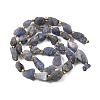 Raw Rough Natural Tanzanite Beads Strands G-D101-A12-3