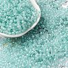 (Defective Closeout Sale: Fading) Glass Seed Beads SEED-XCP0001-30-1