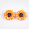 Resin Cabochons CRES-T010-60-2