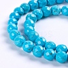 Natural Howlite Beads Strands TURQ-P027-40-1
