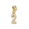 925 Sterling Silver Micro Pave Clear Cubic Zirconia European Dangle Charms STER-A045-01G-2-1
