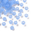 Transparent Acrylic Beads Caps PL543-5-1
