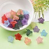 Transparent Acrylic Beads PLF018-7