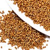 FGB 11/0 Grade A Baking Paint Glass Seed Beads X-SEED-S030-1030-1