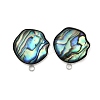 304 Stainless Steel Pave Natural Paua Shell Stud Earring Findings STAS-Z125-03P-1